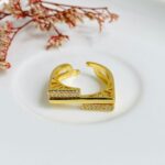 Anillo Plano doble