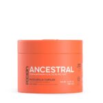 Ancestral Mascarilla de Reparación
