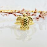 Anillo Tortuga
