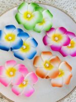 Pinzas Flor Doble