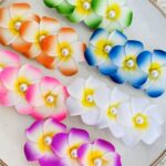 Pinzas Flor Triple