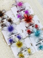 Set caimán hawaiano x 3 - Imagen 4