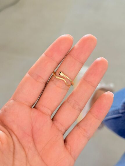 Anillo Culebrita